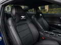 MUSTANG ( RTR-DARK HORSE ) Premium Auto Nackenkissen 2er Set